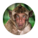 smi0019