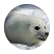 sophierox2