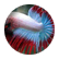 spinich