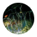 spore