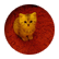spottedshadow