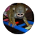 squeebles13