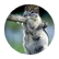 squirreldude
