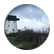 stainingyr5