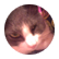 stepstep1234