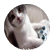 stickdude0713