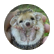 sydbean