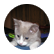 tam2