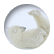 tgunter1