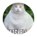 the_secret_ginger