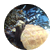 turtlecake