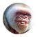 tyscooke