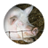 unicorngal1234
