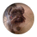 webpet