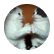 wolfeis