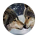 wolfieshdow