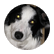 woof7