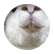 wstembella