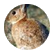xilef41
