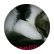 xin