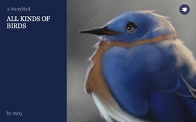 ALL KINDS OF BIRDS