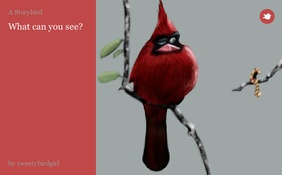 What can you see?