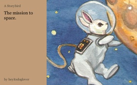 The mission to space.