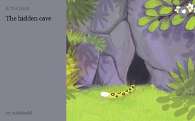 The hidden cave