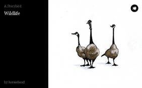 Wildlife