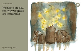Wombat's big day.
(or, Why wombats are nocturnal.)
