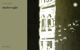 shadow night