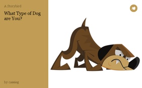 What Type of Dog are You?