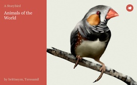Animals of the World