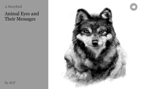 Animal Eyes and Their Messages