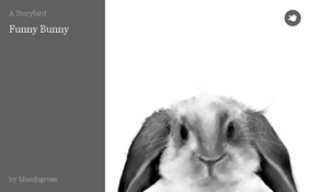 Funny Bunny
