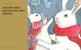 Adorable rabbit pictures(with other animals)