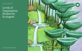 Levels of Organization Studied by Ecologists