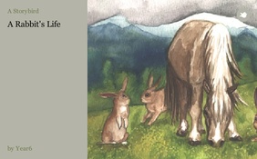 A Rabbit's Life
