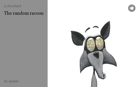The random racoon