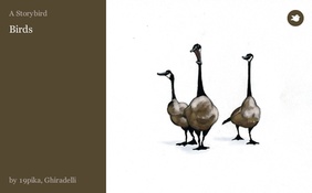 Birds