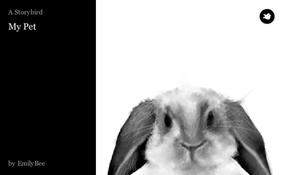 My Pet