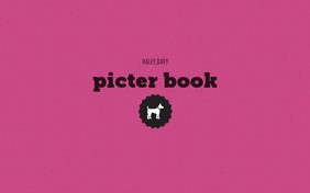 picter book
