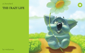 THE CRAZY LIFE