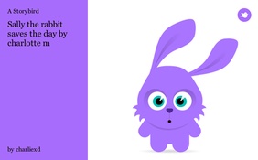 Sally the rabbit saves the day by charlotte m