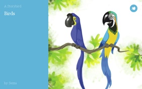 Birds