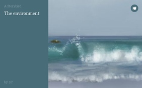 The environment