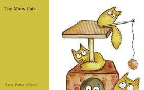 Too Many Cats!