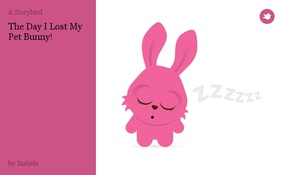 The Day I Lost My Pet Bunny!