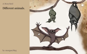 Different animals.