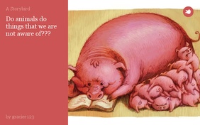 Do animals do things that we are not aware of???